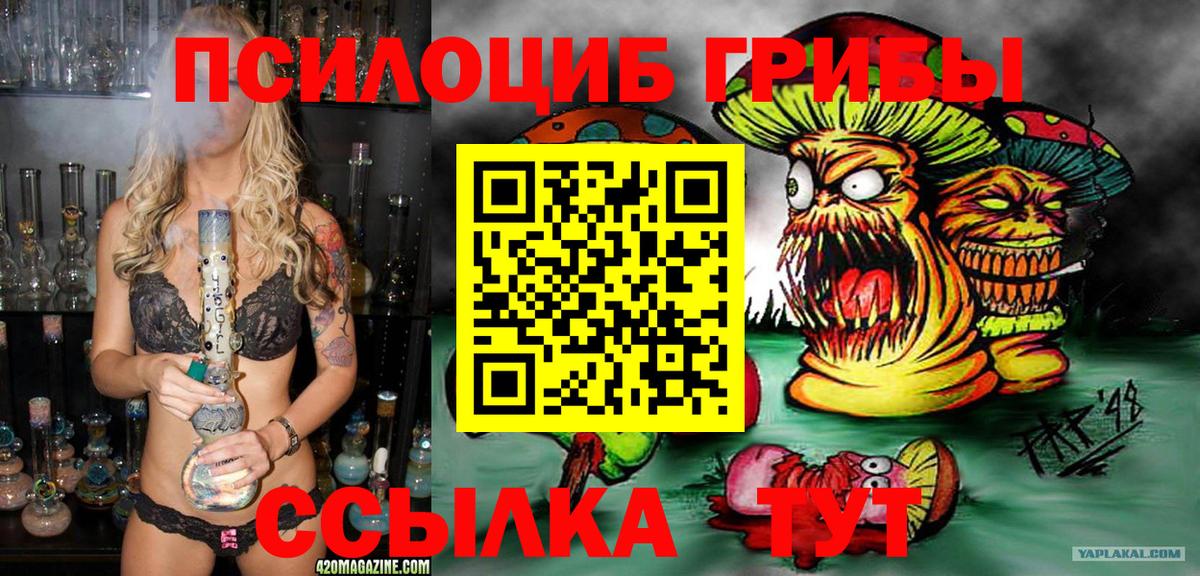 Псилоцибиновые грибы прущие грибы  Вход с VPN  Владикавказ  Галлюциногенные грибы Magic Shrooms 
