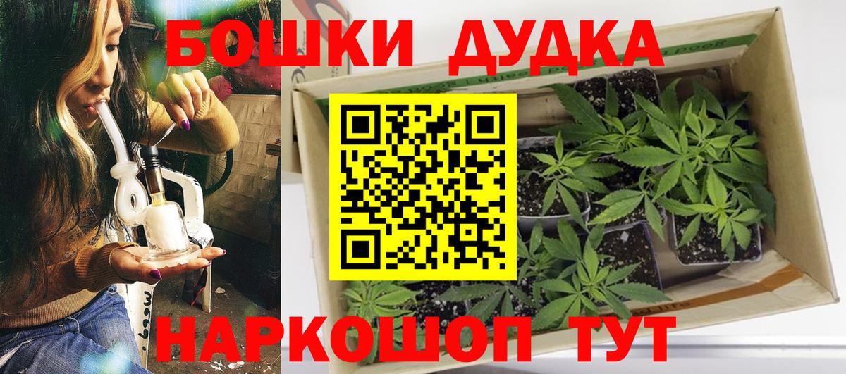 Бошки Шишки план Владикавказ